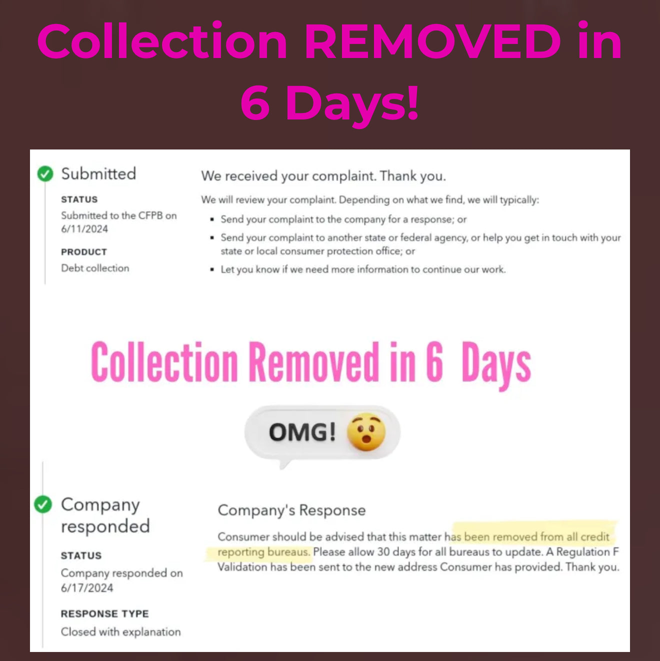 Remove Collections, Charge-offs, Repos and more Using the Same Strategy I Use for Paying Clients - INSTANT DOWNLOAD